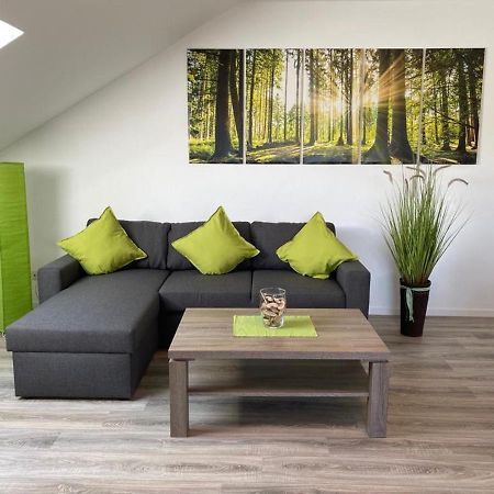 Ferienwohnung Frieda Mit Ueberdachtem Balkon Винтерберг Экстерьер фото